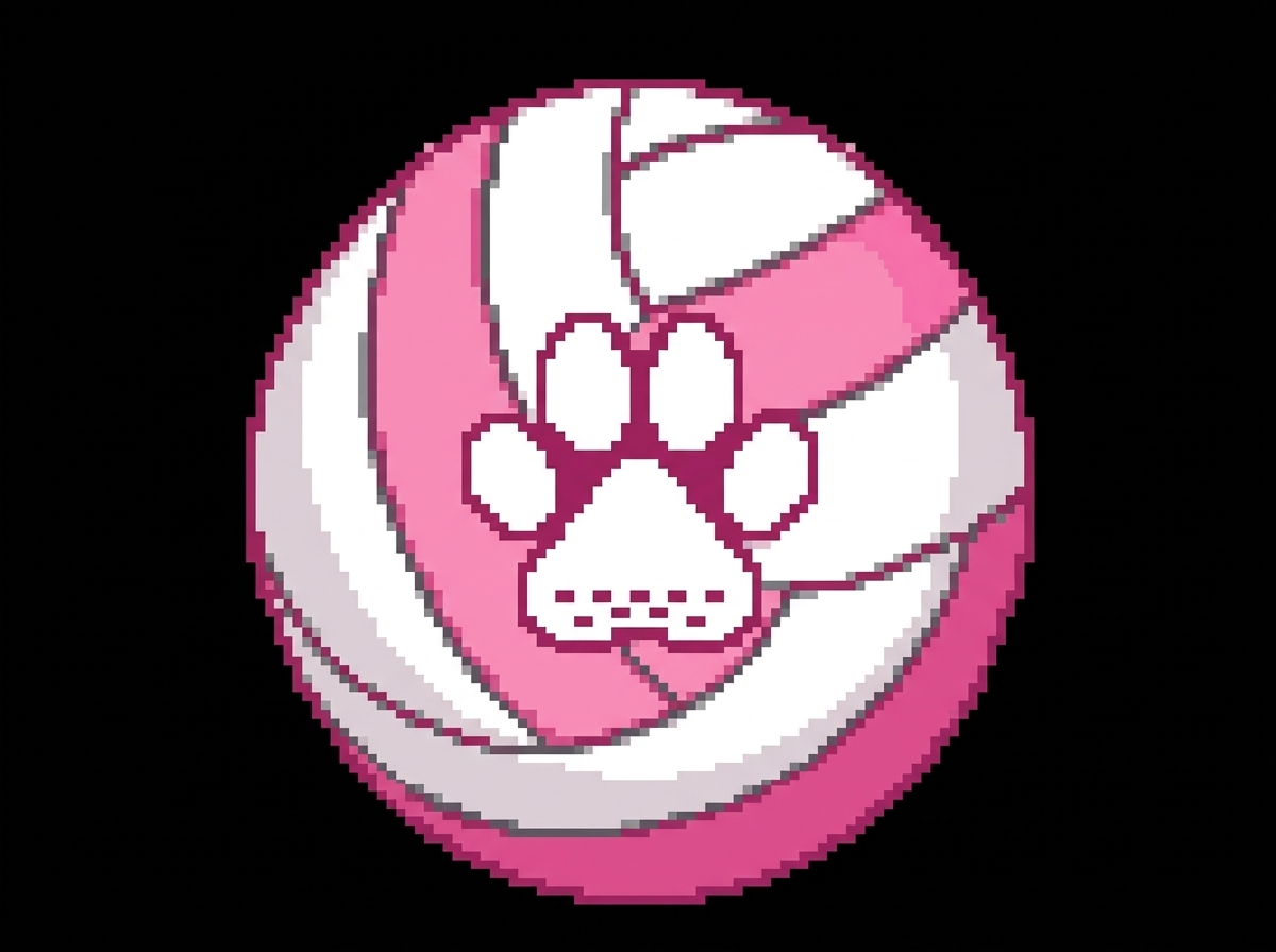 pillagerjovolleyball.com